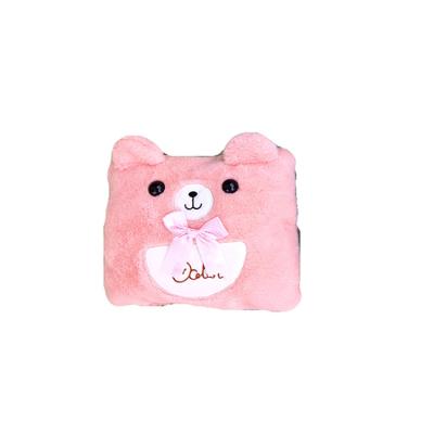 China Cute Cartoon Bear Hot Water Bag Electric Refillable Water Bottle Hot Bag With Zipper YXHD04 for sale