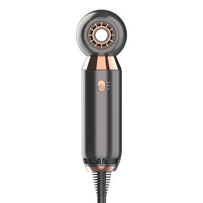 China Electric Mini Hair Dryer Straightener Light Use Ionic Dryer Hair For Men And Women for sale