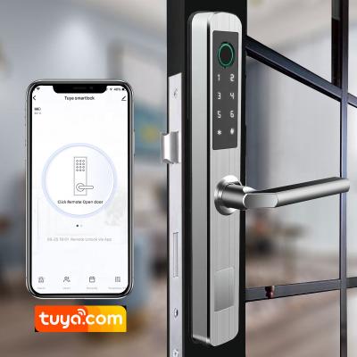 China Tuya /zigbee stainless steel wifi aluminum double sided sliding door lock aluminum alloy smart door lock for sale