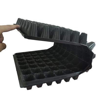 China Beacon Seedling Vegetable Tray Eco - Friendly Nursery Trays Lids Like Cookie Seedling Plastic Tray for sale