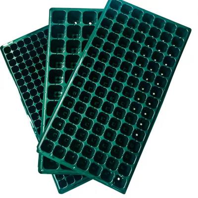 China Environmentally Friendly Durable 200 Cells Seedling Seed Sprouter Tray Polastic Seedling Tray 200 Cell for sale