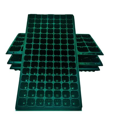 China Wholesale Eco-friendly Black Color Plastic Seedling Plant Growing Tray Nursery for Nursery Seedling Tray Plant for sale