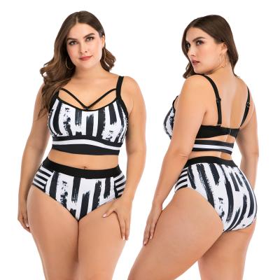 China Best Tummy Control Tankini Two Piece Swimming Suit Breathable Swimwear Plus Size Swimwear For Women for sale