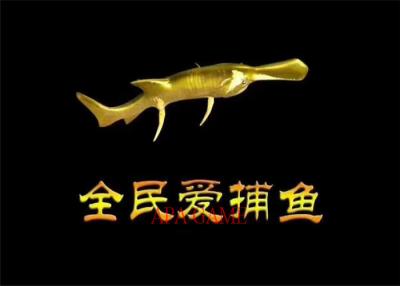 China Unique Design Tiger Fish Games / Indoor Fishing Season Arcade Game Equipment for sale