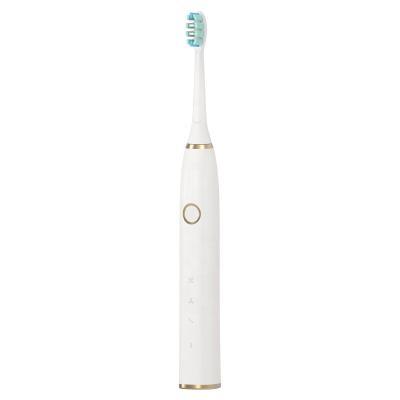 China High Quality Sonic Electric Toothbrush Cleaner Sonic Powerful Cleaning with 5 Modes for sale