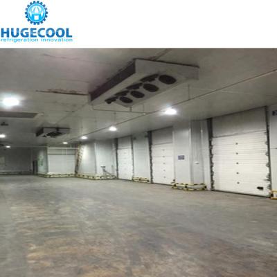 China Logistics Cold Storage For Fruit And Vegetable Storage 1400 Tons Large Cold Storage Room Warehouse zu verkaufen