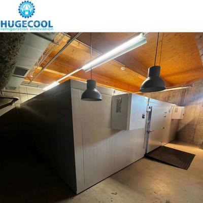 China Seafood Cold Storage Walk In Freezer Meat Ice Cream Freezer Room for sale