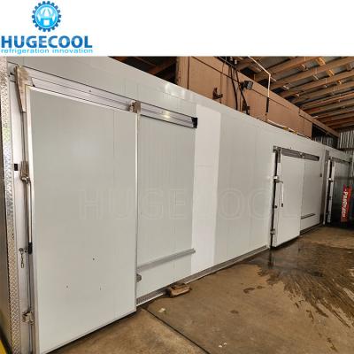 China Walk In Cooler Sliding Door Freezer Room Door Cold Room Door en venta