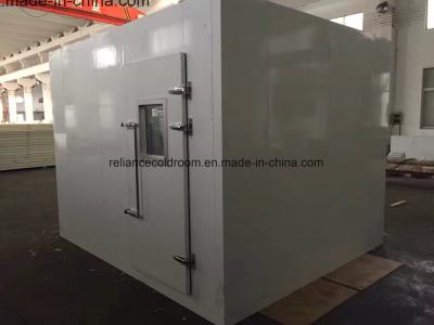 China Freon Refrigerant Walkin Cold Storage Room for Meat Assembled Structure Walkin Building for sale