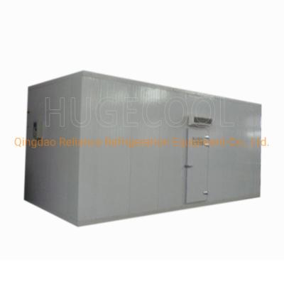 China Nature Production -10-0C Mini Solar Cold Room 20cbm for Meat for sale