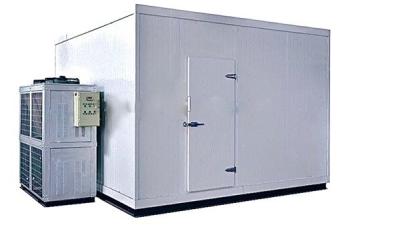 China Meat Storage Freezer Cold Room with 100mm Panel Thickness and After-sales Service for sale