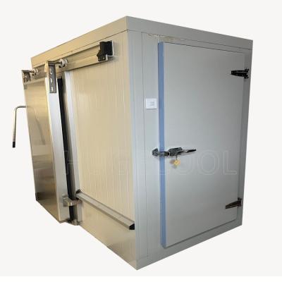 China Medicine Storage Freezer Easy Assembling Cold Freezer Storages for Your Requirements for sale