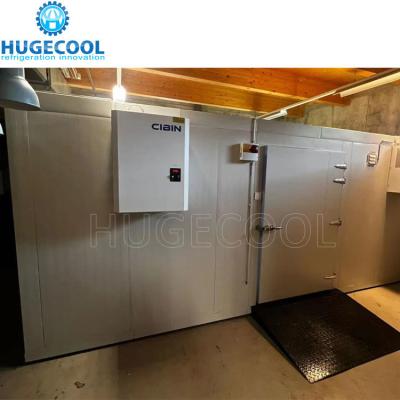 China Suitable for Seafood Processing Cold Room -18c Temperature Chicken Cold Storage Room for sale