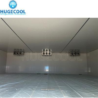 China Large Cold Storage Cold Room For Fruits And Vegetables After-sales Service Provided for sale