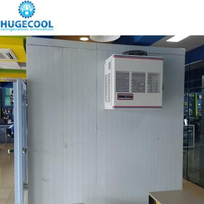 China Depende del modelo Entrar en el cuarto frío Refrigerador Almacenamiento Congelador Chiller Cuarto para alimentos en venta