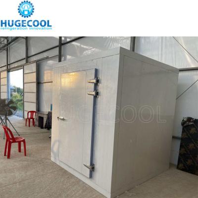 China 2*2*3m Sala de armazenamento de frio pequena com função de entrada e compressor de refrigerante freónico à venda