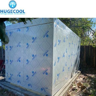 China Small Size -10-0C Temperature Cold Storage Room for Meat Fish Quick Freezing for sale