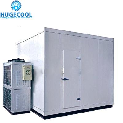 China Walk In Cold Room Freezer for sale