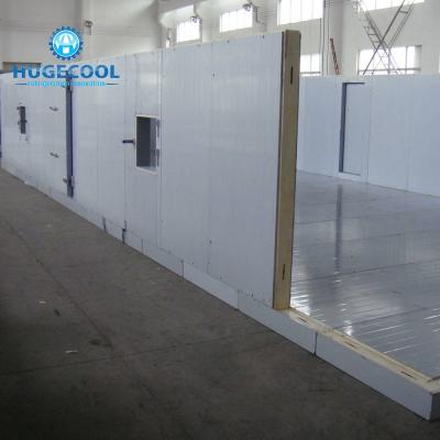 China Walk In Freezer Cold Room Full Automatic Control With Long Life Cycle for sale