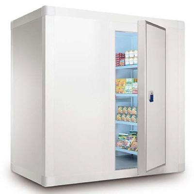 China Walkin cooler air conditioner cold room freezer for sale