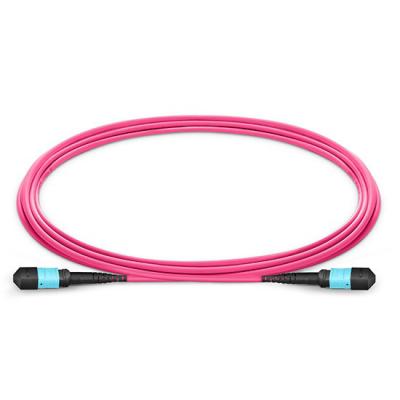 China FTTH MTP Female to Female 12 Fibers OM4 (OM3) Trunk 50 Multimode Cable Type 125 A Magenta Elite Plenary (OFNP) Mpo Patch Cord Cable for sale