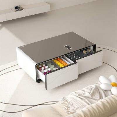 China Multifunctional Refrigerator with Refrigerated Drawer Cabinet Coffee Table Fridge for sale