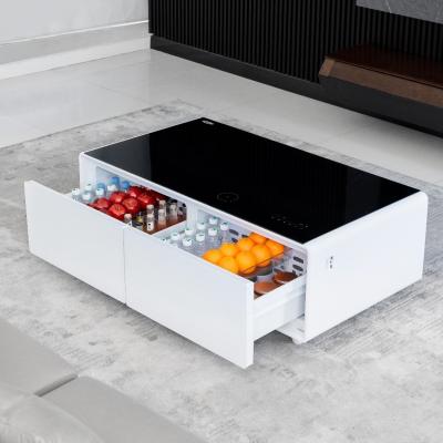 China White/Black/Wood Home Living Room Table Smart Furniture Freezer Fridge with Music Player for sale