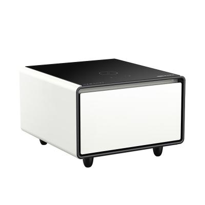 China Private Mold Smart Mini Fridge for Hotel Bedroom Living Room Furniture Refrigerator for sale