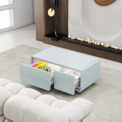 China Living Room Furniture Modern Coffee Table with Built-in Refrigerator and Music Player for sale