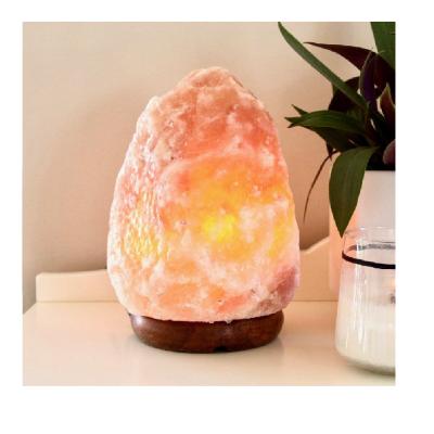 China Natural crystal salt brick lamp Himalayan salt lamp rose lamp Europe salt brick lamp for sale