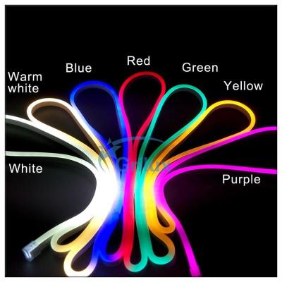 China Exterior Decoration Led Flex Factory Competitive Price Neon Micro Led Strip Light Cars With Neon Lamps Led Strip Strip For Decoration GLX-N-2835-120 for sale