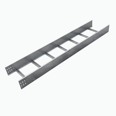 China China Steel Wholesale Custom Galvanized Type Electrical Ladder Cable Tray for sale