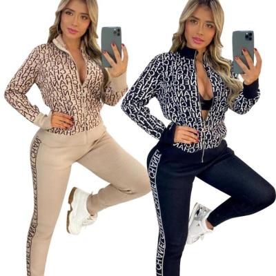 China 2021 New Arrival Sexy Women's Playsuit Long Sleeve Zipper Sweatsuit Thin Casual Two Piece Panties QUICK DRY Set Tracksuits For Women Clothes for sale