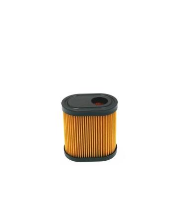 China Garden Tools Air Filter 36905 Replace For Tecumseh 740083A, Fits Tecumseh LEV100 LEV115 LEV120 LV195EA OVRM65 OVRM105 OVRM120 Craftsman 33331 for sale