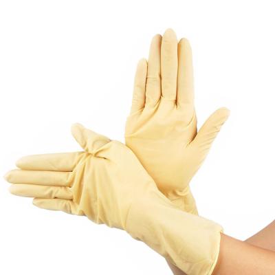 China Latex 5.0g 9/12 inch latex milk white powder free disposable glove for sale