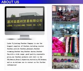 Verified China supplier - Luohe Yijiaxiang Trade Co., Ltd.