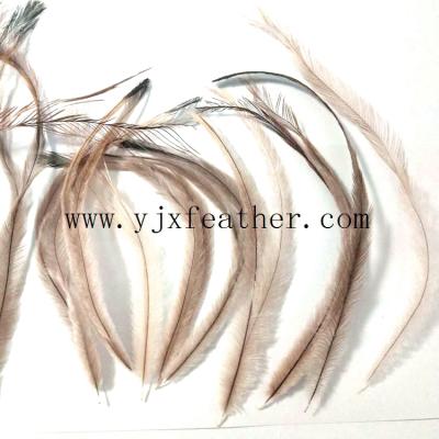 China Wholesale high quality natual carnival china emu feathers for sale