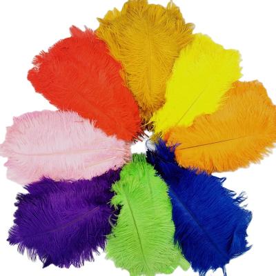 China Wholesale Colorful Ostrich Feather Decorations Feather 12-14inch (30-35cm) for sale