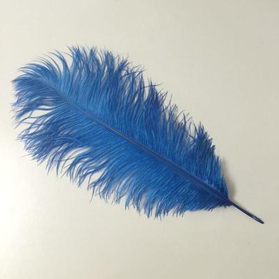 China High Quality Decorations Ostrich Feather For Corner Feather Wing for sale