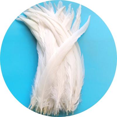 China 2020 festival wholesale snow shell tail rooster white feather for sale