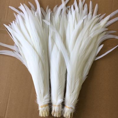 China Wholesale very high quality white tail feather natural chicken feather snow rooster for sale