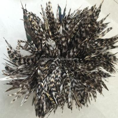 China Cheap natural long gray chicken feather factory price thin grayish feather rooster feather for sale