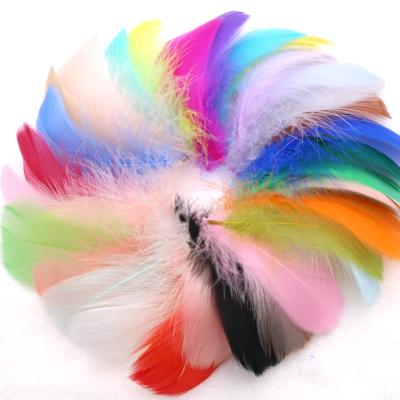 China Diy Opens Pop Dream Ball Decoration Garland Bouquet Filling Catcher DIY Goose Feather for sale