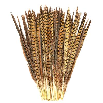 China Hot Selling Decorations Pheasant Feathers 16-18 Inch (40-45cm) Natural Color Pheasant Tail Feathers for sale