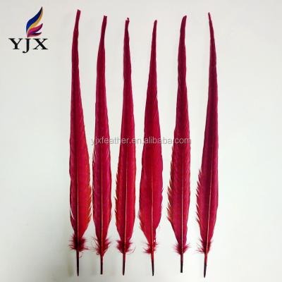 China Carnival costume decorations free shipping 50-55cm wine color cheap colorful dyed ringneck pheasant feathers for sale