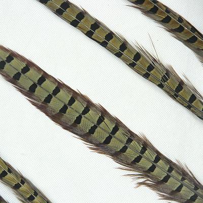 China Wholesale Decorations 35-40cm Ringneck Pheasant Tail Fly Tying Supplies for sale