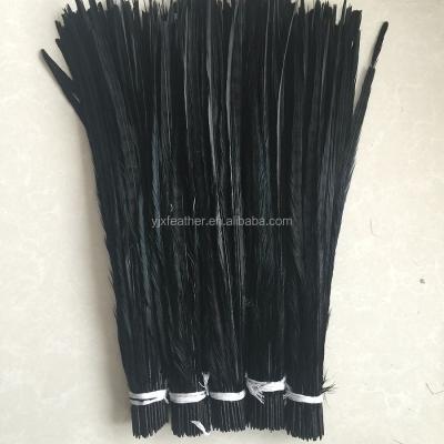 China Wholesale Decoration Feather Accessories Ringneck Pheasant Dyed Tail Feathers For Sale Cheap for sale