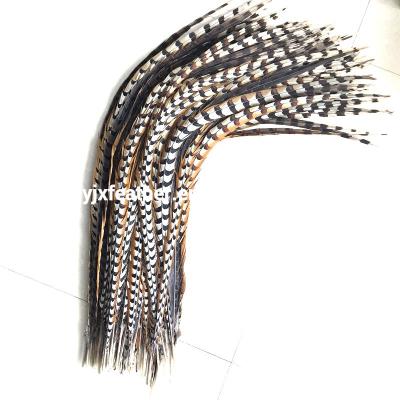 China Decorations Wholesale 100cm-110cm Cheap Very Long Natural Chiefs Pheasant Tail Feathers For Dance Costumes for sale