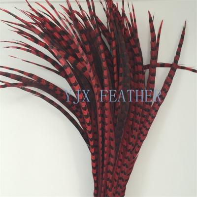 China Cheap Decorative Long Decorations Carnival Costumes Chiefs Pheasant Tail Feathers for sale