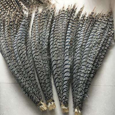 China Wholesale Party Wedding Performance Decoration Zebra Feather for sale